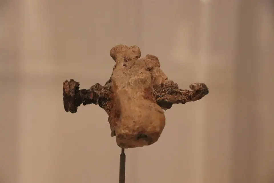 A heel bone pierced by an iron nail, shown in replica